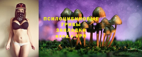 бутират Костерёво