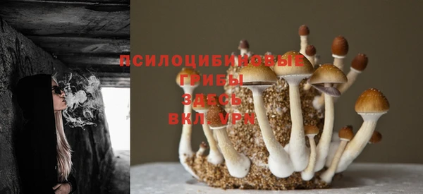 бутират Коряжма